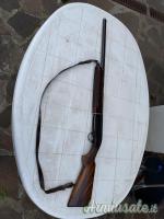 Beretta automatico 12