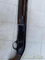 Beretta automatico 12