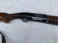 Beretta automatico 12