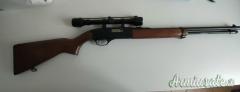 Winchester 190 .22 Long Rifle