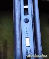 W.W. Greener Facile Princeps 12