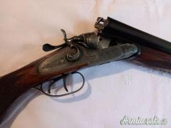 Daffini cani esterni 12