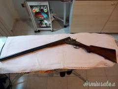 Daffini cani esterni 12