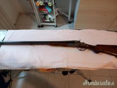 Daffini cani esterni 12