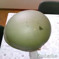 ELMETTO KEVLAR  SEPT 2