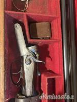 ...Altro | Non elencato Cani esterni 12