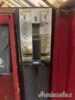 ...Altro | Non elencato Cani esterni 12