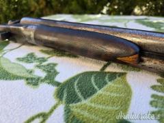 Doppietta a cani esterni