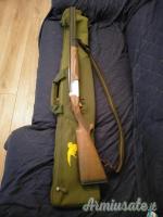 Vendo armi vario genere