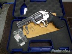 Smith & Wesson 686-6 .357 Magnum  |  9x31mmR  | .353 Casull