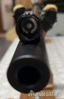 Carabina SHARPS modello 1874 creedmoor calibro 45/70