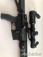 Armi Dallera Custom Special Force .223 Remington