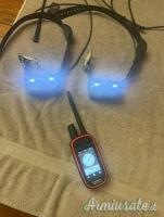 Dispositivo portatile Garmin Alpha 100 con 2 collari di localizzazione GPS TT15