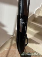 Benelli Raffaello powerbore 12