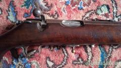 Carabina otturatore Savage Sporter .22 LR