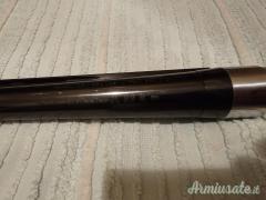 Benelli Raffaello 12