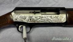 Franchi AL 48 inciso 12