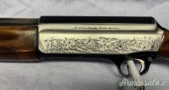 Franchi AL 48 inciso 12