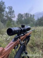 Remington 700 .243 Winchester