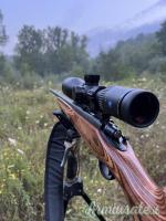 Remington 700 .243 Winchester