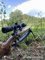 Remington 700 .243 Winchester