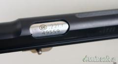 Sig Conversione  .22 LR Long Rifle