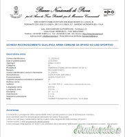 Beretta Olimpionico .22 LR Long Rifle