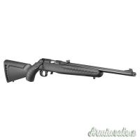 Ruger Rimfire synth .22 Long Rifle