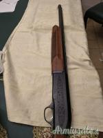 Beretta 301 12