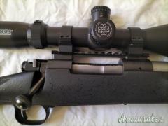 Winchester COYOTE LIGHT .308 Winchester