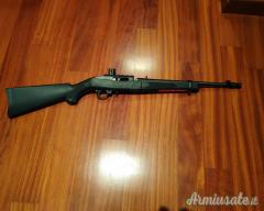 Ruger | Sturm Takedown .22 Long Rifle