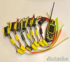 Collari satellitari BITRABI