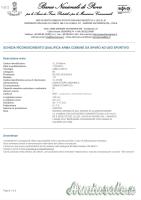 Glock 17L 9x21mm IMI