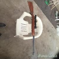 Fucile monocanna Cal. 24 + carabina aria compressa