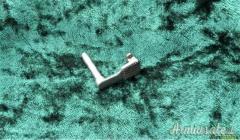 Hold-open 1° TIPO per SIG P 210