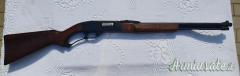 Winchester Model 250 .22 Long Rifle