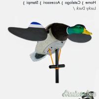 Richiamo per aquatici