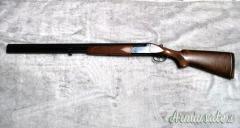 Zoli Antonio Delfino 12