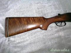 Zoli Antonio Delfino 12