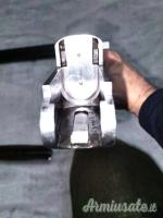 Zoli Antonio Delfino 12