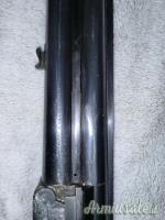 Zoli Antonio Delfino 12