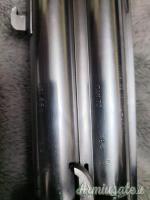 Zoli Antonio Delfino 12