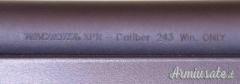 Winchester mod. XPR in calibro 243 W