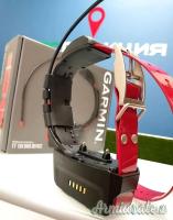 Collare per cani Garmin TT15