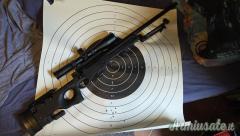 Aritc Warfare .308 Winchester