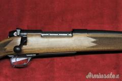 Weatherby mark 5 .300 Weatherby Magnum