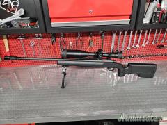 Remington 700 .308 Winchester