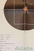 Pistola Sig 210/5 Cal. 9x21  Sportiva