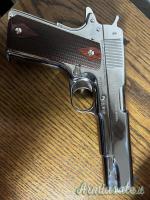 Colt 1911 government .45 ACP