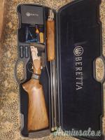 DT11 sporting canne76